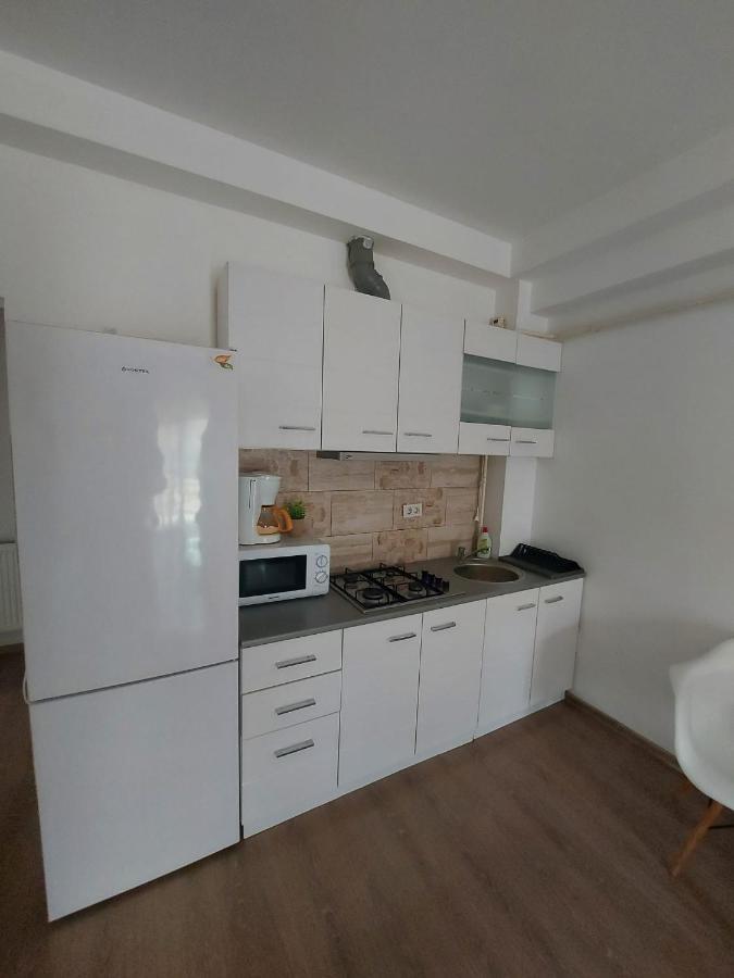 Jolie Art Appartement Brăila Buitenkant foto
